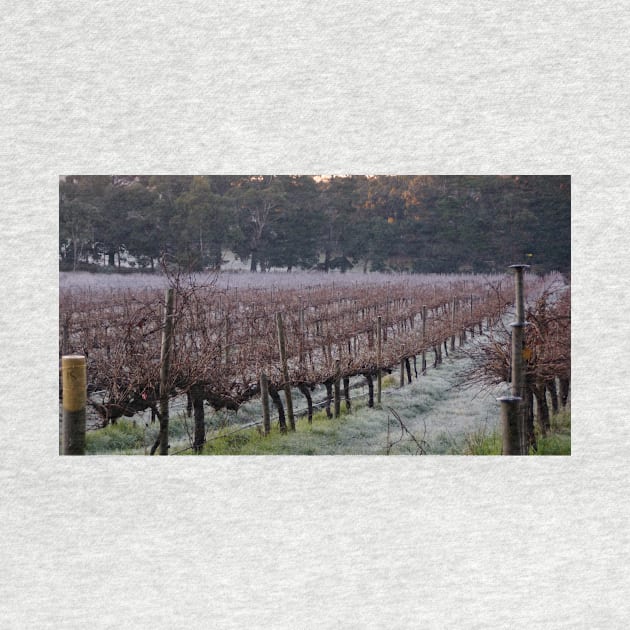 Frosty in the Vines - Adelaide Hills - Fleurieu Peninsula by South Australian artist Avril Thomas by MagpieSprings